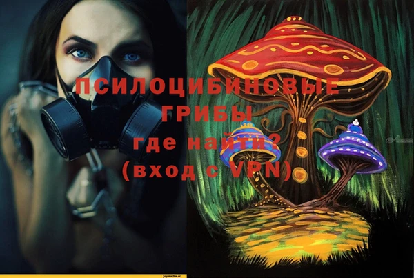 скорость Алексин
