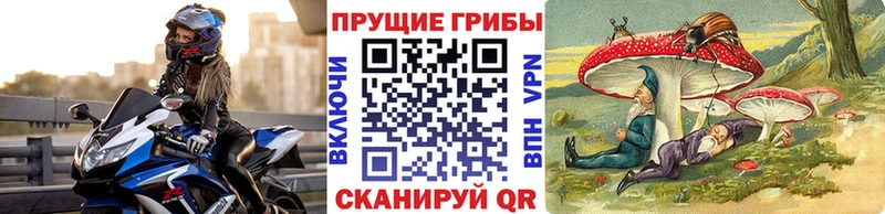 Псилоцибиновые грибы мицелий  Абакан 